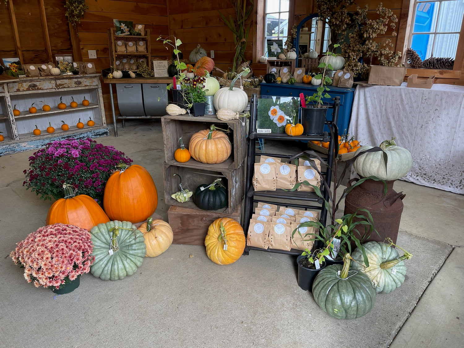 Display of pumpkins, flowers, and other items in a store setting.