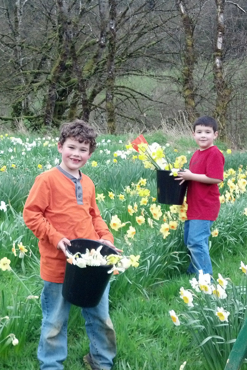 Two children holding buckets of flowers in a field of daffodils.